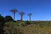 Voyage à Madagascar