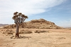 Voyage et aventure : découvrir Namibie