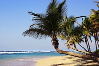 Que faire à Punta Cana en une semaine
