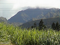 La Réunion, patrimoine mondial