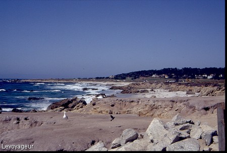 Photo - Californie - Monterey - La côte sauvage