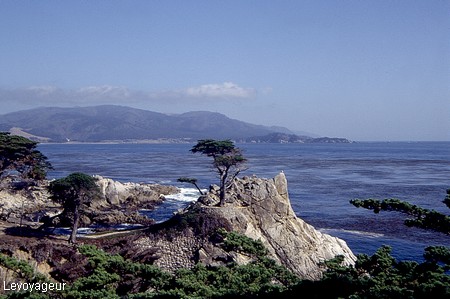 Photo - Californie - Monterey - The Lone Cypress