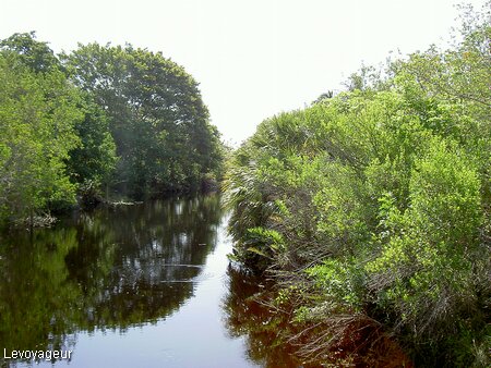 Photo - Sanibel Island - Promenade dans les Everglades