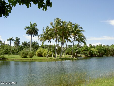 Photo - Proximité de Miami - Jardin tropical Fairchild