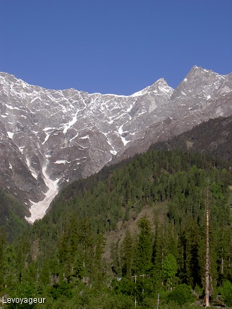 Photo - Manali  situé dans les contreforts de l'Himalaya