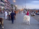 Photo - Haridwar - Haut lieu du culte  hindouiste
