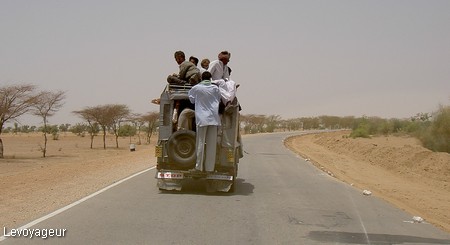 Photo - Sur la route du Rajasthan - Transport en commun