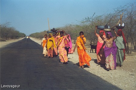 Photo - Femmes  indiennes aux saris de couleurs chatoyantes