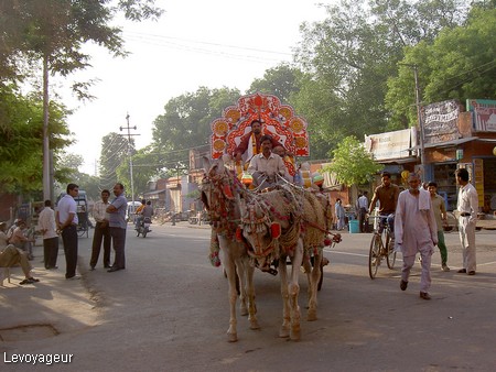 Photo - Uttar Pradesh - Agra - Manifestation religieuse