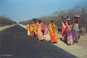 Photo - Femmes  indiennes aux saris de couleurs chatoyantes