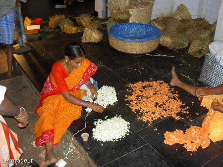 Photo - Chennai - Marché aux fleurs de Koyambedu