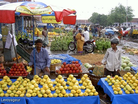 Photo - Chennai - Marché de Koyambedu - Vente de fruits exotiques