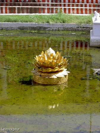 Photo - Madurai - Le  lotus d'or  du temple Sri Meenakshi