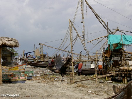 Photo - Fort Cochin - Filets de pêche chinois