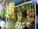 Photo - Kérala - Kottayam - régime de bananes