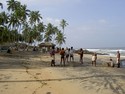 Photo -  Varkala Beach -  Plage bordée de cocotiers