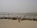Photo - Allahabad - Ville située au confluent du Gange du fleuve Yamuna , du fleuve Saraswati