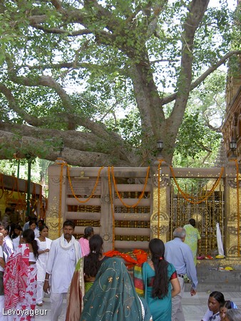Photo - Bodhgaya - Lieu où le prince Siddhartha trouva l'illumination (Nirvâna) sous l'arbre de Bodhi