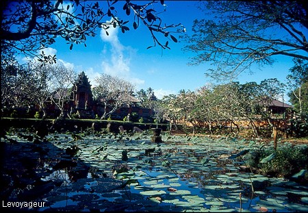 Photo - Bali-Ubud - Lotus du bassin du temple royal