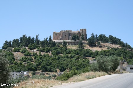 Photo - Ajlun et sa forteresse( XII è siècle)