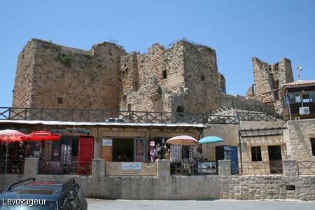 Photo - L'imposante  forteresse d'Ajlun (XII ème siècle)