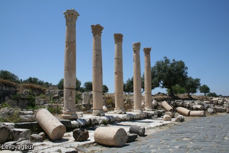 Photo - La voie bordée de colonnes Romaines
