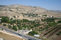Photo - La vallée florissante du Wadi Sir