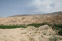 Photo - La vallée de l'Arnon - Wadi Mujib
