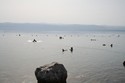 Photo - Bains dans la mer Morte