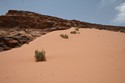Photo - Les dunes de sable ocre
