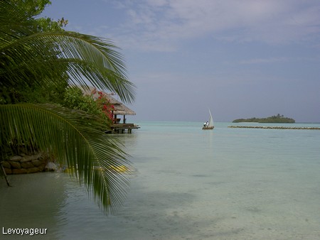 Photo - Rihiveli - L'île paradisiaque