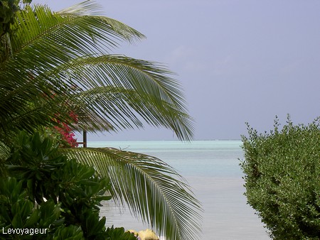 Photo - Rihiveli - Végétation tropicale sur le lagon