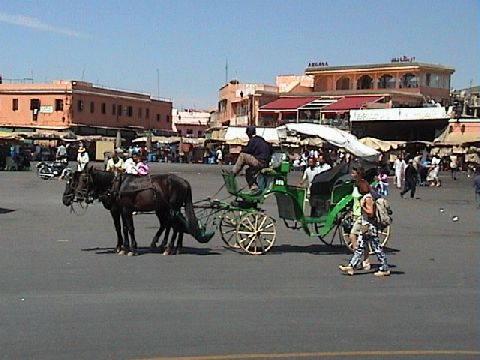 Photo - Marrakech - Calèche sur la place Jemaa El Fna