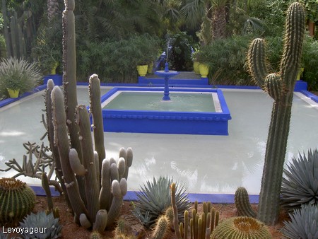 Photo - Marrakech - Jardin Majorelle - Les cactés