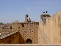 Photo - Marrakech - Nid de cigognes sur les ruines du Palais Al - Badii