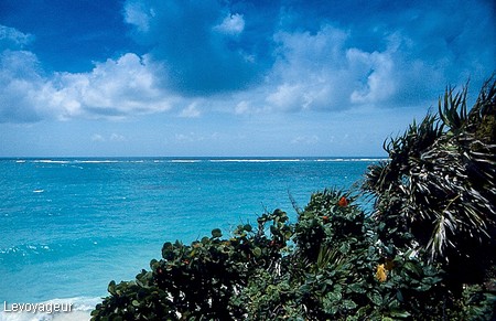 Photo - Tulum ( golfe du Mexique ) - Eau turquoise des Caraïbes