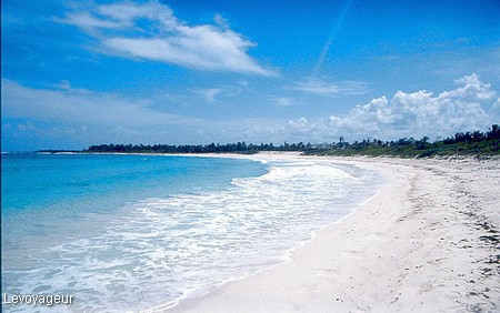 Photo - Proximité de Xel Ha -  Une plage déserte dans les caraïbes