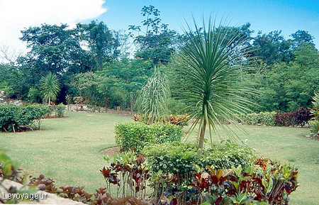 Photo - Yucatan - Chichen Itza - jardin paysager