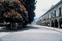 Photo - Oaxaca - Place principale ( Le Zocalo )