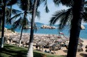 Photo - Acapulco ( côte pacifique ) - Plage bordée de cocotiers
