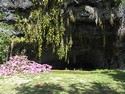 Photo - Grotte des premiers Français