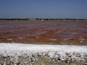 Photo - Le lac rose et ses ramasseurs de sel