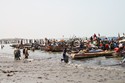 Photo -  Mbour - L' arrivée des pêcheurs