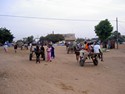 Photo - Les charrettes, moyen de tranport local