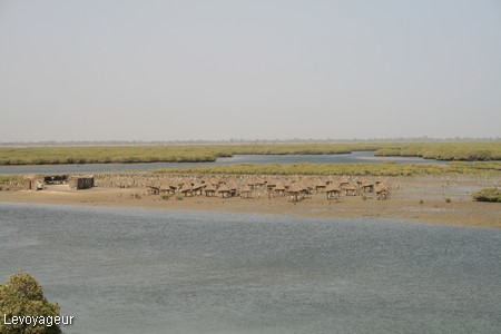 Photo - Fadiouth, l'ile aux coquillages  - La mangrove