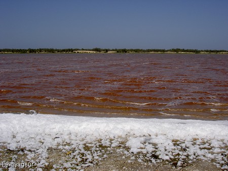Photo - Le lac rose et ses ramasseurs de sel