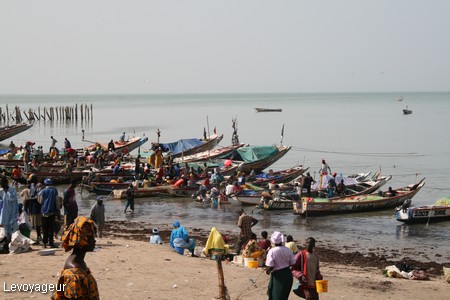 Photo - Mbour -  Le second  port de pêche du Sénégal