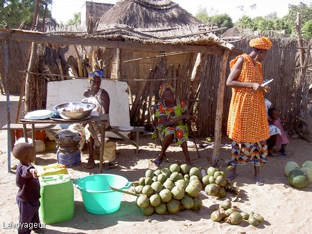 Photo - Marché Africain - Vente de noix de coco et mangues