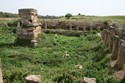 Photo - Temple d' Hercule -  Site archéologique d'Amrit