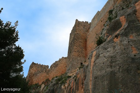 Photo - Château de Saône (chateau de Saladin)